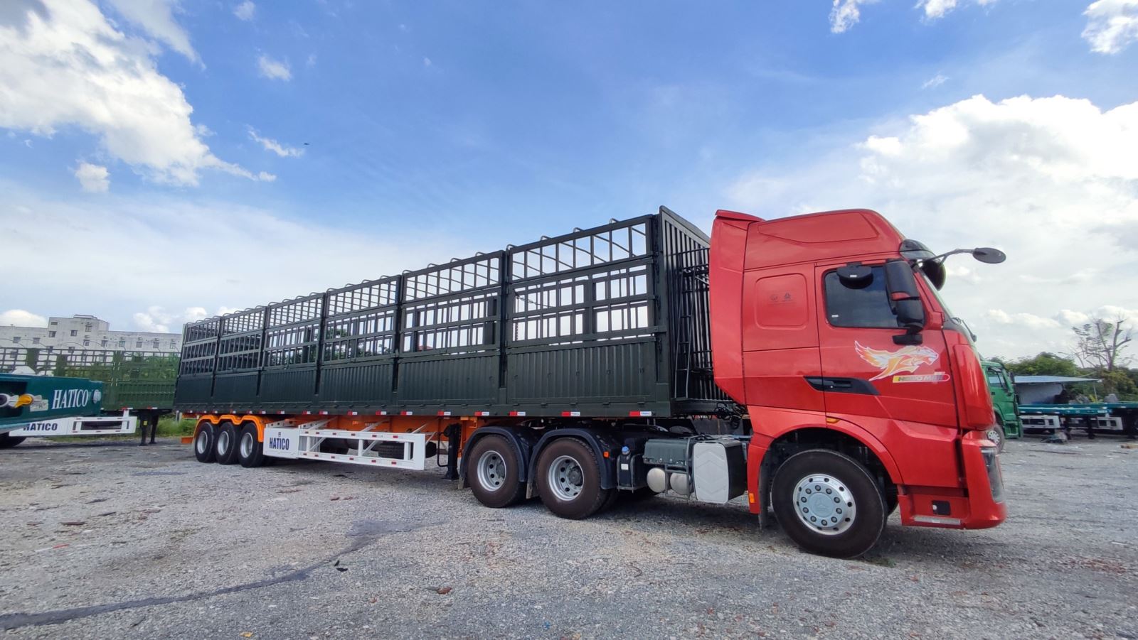 MOOC XƯƠNG CỔ CÒ 48 HATICO ĐẶT CÔNG RÀO 50 MOOC XƯƠNG CỔ CÒ 48 HATICO ĐẶT CÔNG RÀO 50